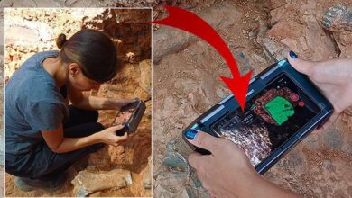 denizlide buyuk kesif turkiyede yalnizca bir yerde biliniyordu 1Hdced1l