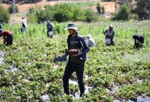 devlet takviyesiyle kuruldu 50 ulkeye gonderiliyor 19L6Y9Mv