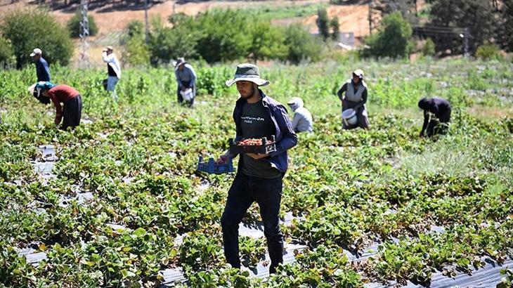devlet takviyesiyle kuruldu 50 ulkeye gonderiliyor 19L6Y9Mv