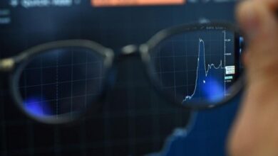 dmm rezerv rekor duzeyde enflasyon dususte piyasalar itimat tazeledi EU8ERgLp