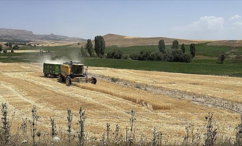 Ekili tarım yeri yüzde 22 artan Kayseri'de üretici sayısı 32 bine ulaştı 1 ekili tarim yeri yuzde 22 artan kayseride uretici sayisi 32 bine ulasti ShsOJhqp