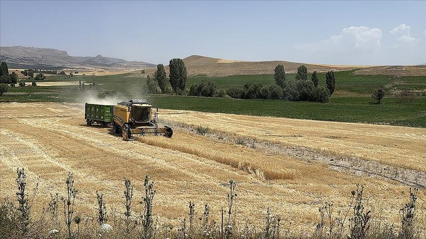 Ekili tarım yeri yüzde 22 artan Kayseri’de üretici sayısı 32 bine ulaştı