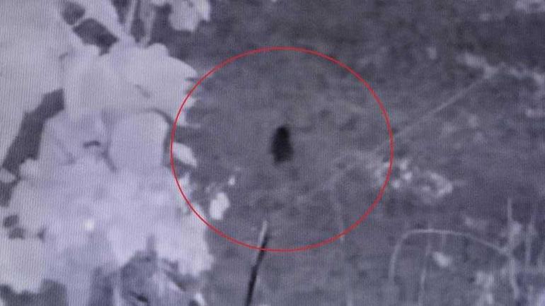 findiginin calindigini sandi kamera imgelerini izleyince soke oldu bu yili bu turlu atlatacagiz 0 v4tjjOmX