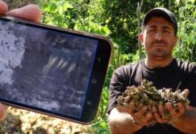 findiginin calindigini sandi kamera imgelerini izleyince soke oldu bu yili bu turlu atlatacagiz OQOL3Lq4