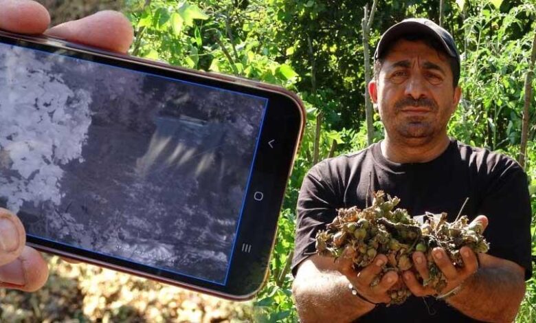 findiginin calindigini sandi kamera imgelerini izleyince soke oldu bu yili bu turlu atlatacagiz OQOL3Lq4