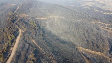 geliboludaki yanginin izleri havadan goruntulendi canakkale ormanlari kule dondu aU95eWx5