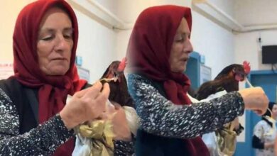giresunda fikra uzere olay tavuk hastanede ameliyat edildi rontgen cektirirseniz guzel olur dediler ben HUSOKIDw