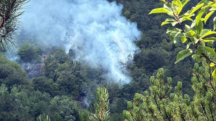 iki kentte ormana yangini havadan ve karadan mudahale 2 7pOl3NiQ