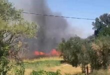 iki kentte ormana yangini havadan ve karadan mudahale CdVNnbpA