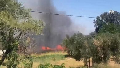 iki kentte ormana yangini havadan ve karadan mudahale CdVNnbpA