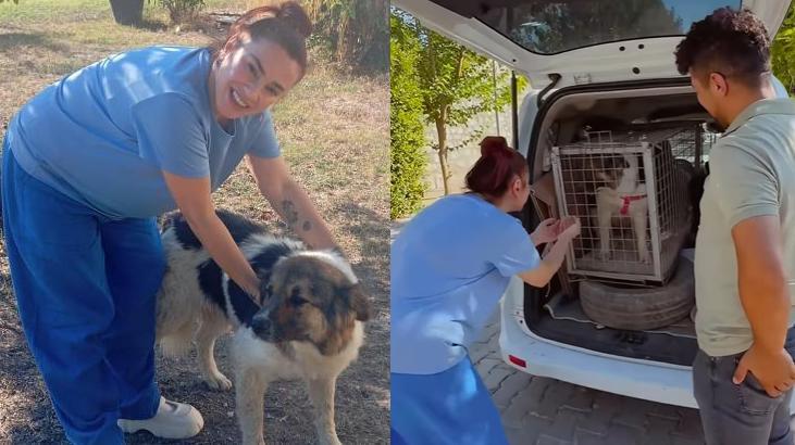 İmgeler yürekleri ısıttı! Ceylan Ertem'den alkışlanacak hareket 6 imgeler yurekleri isitti ceylan ertemden alkislanacak hareket 4 faQ5qagk