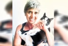 inci batuk kurkcugile veda iizKVYfV