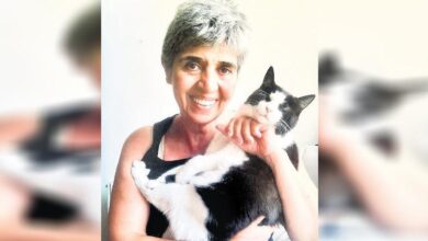 inci batuk kurkcugile veda iizKVYfV