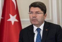 istanbulda bir kedinin tekmelenerek oldurulmesine ait sorusturma baslatildi 84VwxgWs