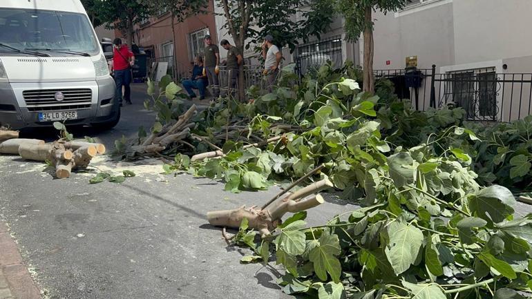 İstanbul'da fırtına etkisi! Mecburî olmadıkça dışarıya çıkmayın: Ağaçlar devrildi, yaralılar var 6 istanbulda firtina etkisi mecbur olmadikca disariya cikmayin agaclar devrildi yaralilar var 4 aCGneGWA