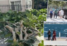 istanbulda firtina etkisi mecbur olmadikca disariya cikmayin agaclar devrildi yaralilar var mIWG4HV3