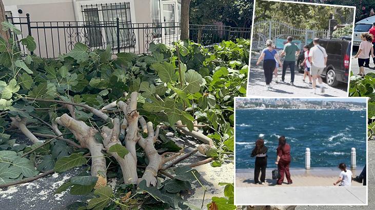 İstanbul'da fırtına etkisi! Mecburî olmadıkça dışarıya çıkmayın: Ağaçlar devrildi, yaralılar var 1 istanbulda firtina etkisi mecbur olmadikca disariya cikmayin agaclar devrildi yaralilar var mIWG4HV3