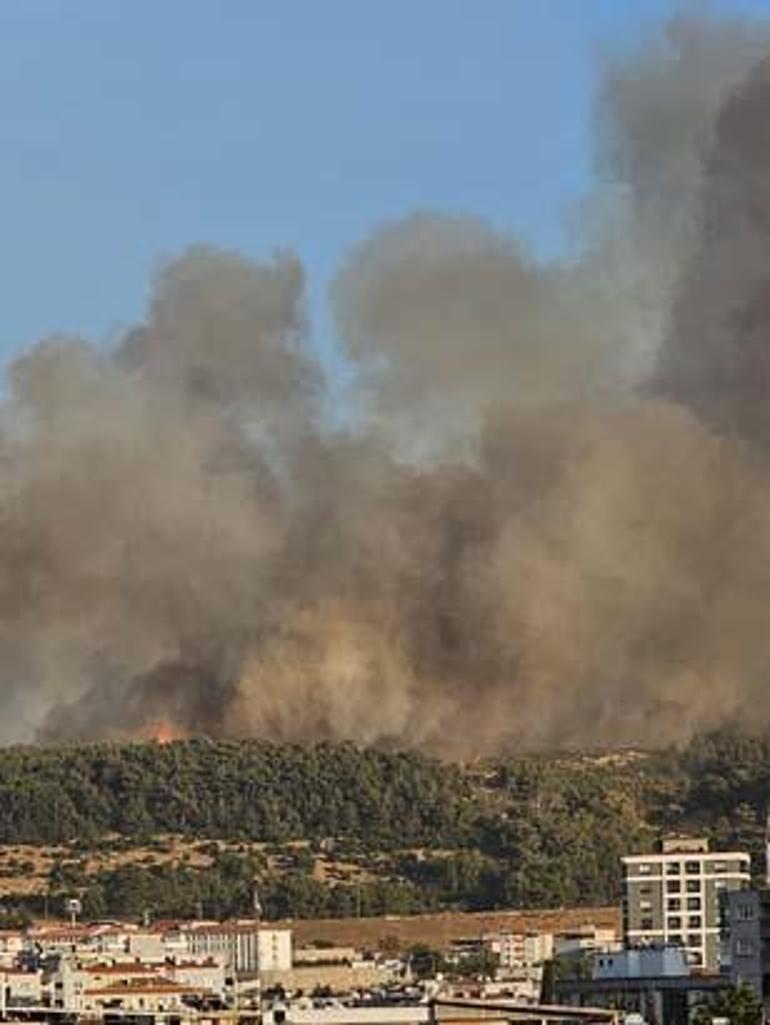İzmir Buca'da orman yangını! Gün ağardı, yangına hava müdahalesi tekrar başladı 2 izmir bucada orman yangini gun agardi yangina hava mudahalesi tekrar basladi 0