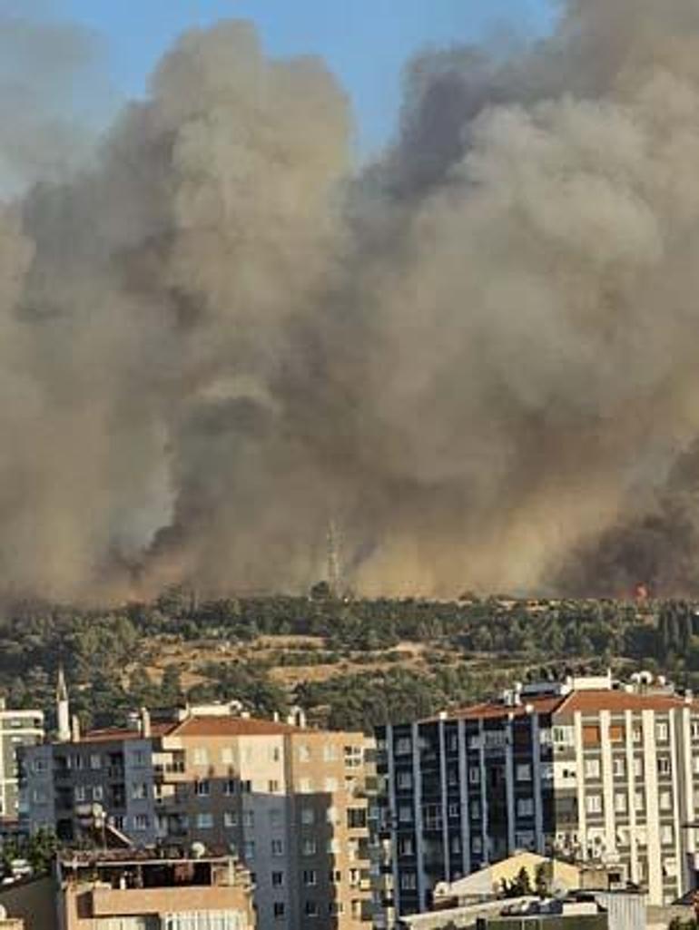 İzmir Buca'da orman yangını! Gün ağardı, yangına hava müdahalesi tekrar başladı 3 izmir bucada orman yangini gun agardi yangina hava mudahalesi tekrar basladi 1