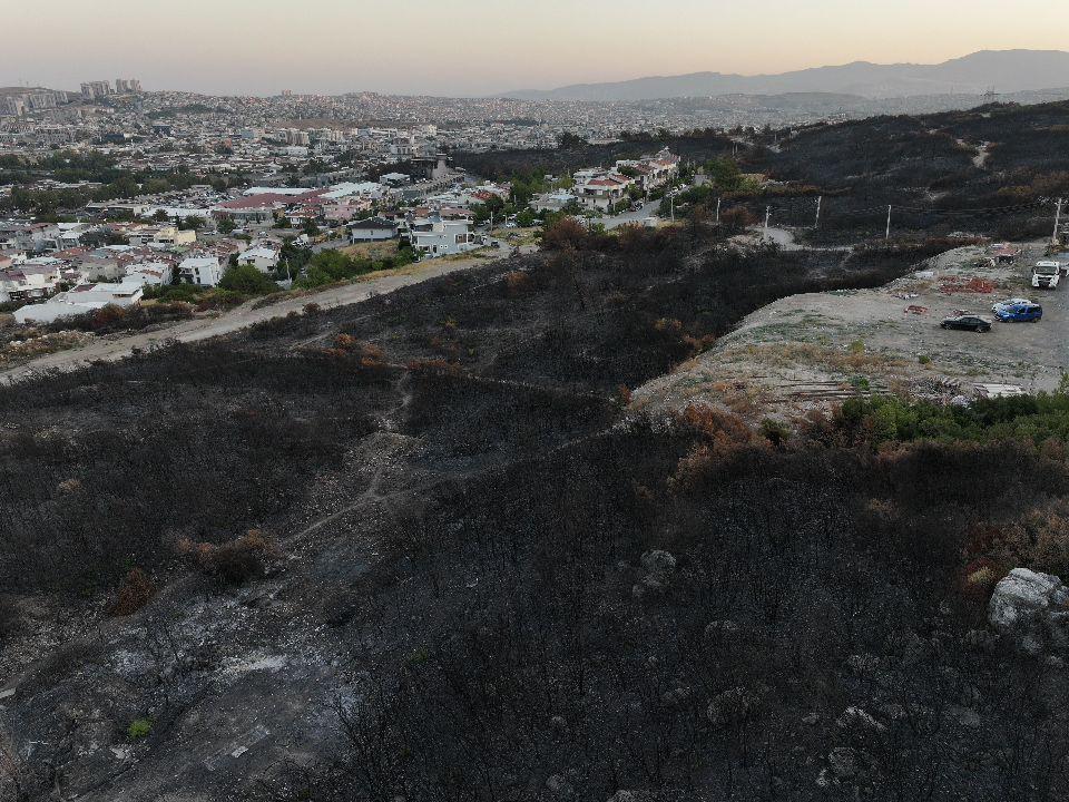İzmir Buca'da orman yangını! Gün ağardı, yangına hava müdahalesi tekrar başladı 6 izmir bucada orman yangini gun agardi yangina hava mudahalesi tekrar basladi 4 7gpzu6jY