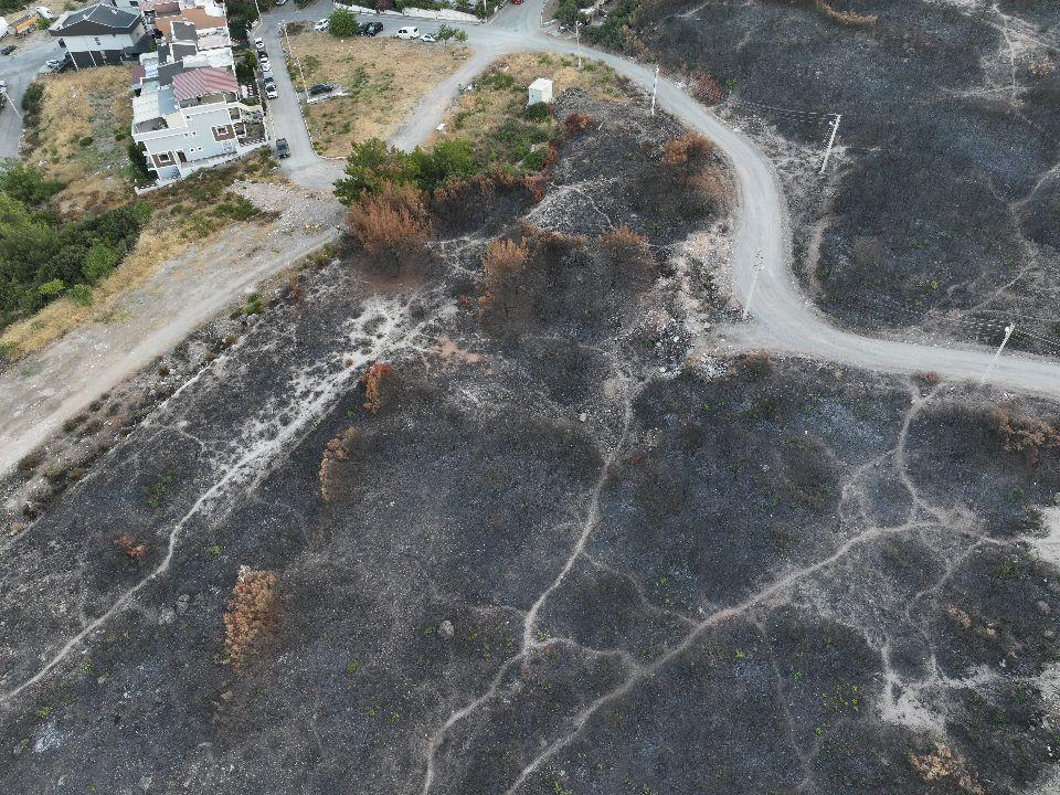 İzmir Buca'da orman yangını! Gün ağardı, yangına hava müdahalesi tekrar başladı 7 izmir bucada orman yangini gun agardi yangina hava mudahalesi tekrar basladi 5 jTbeWY1K