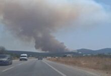 izmir mendereste orman yangini JzUQRGun