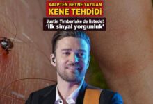 kalpten beyne yayilan kene tehdidi justin timberlake de listede ilk sinyal yorgunluk VNsPq974