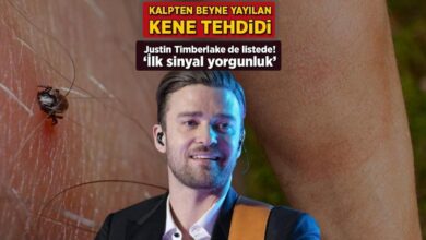 kalpten beyne yayilan kene tehdidi justin timberlake de listede ilk sinyal yorgunluk VNsPq974