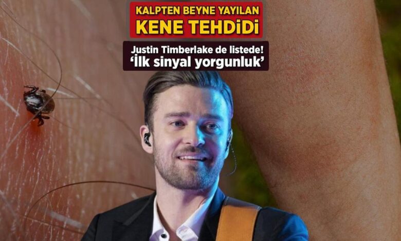 kalpten beyne yayilan kene tehdidi justin timberlake de listede ilk sinyal yorgunluk VNsPq974