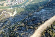karabukte orman yangini valisi yavuzdan aciklama geldi 9MfDNGeU