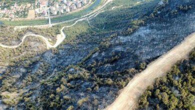karabukte orman yangini valisi yavuzdan aciklama geldi 9MfDNGeU