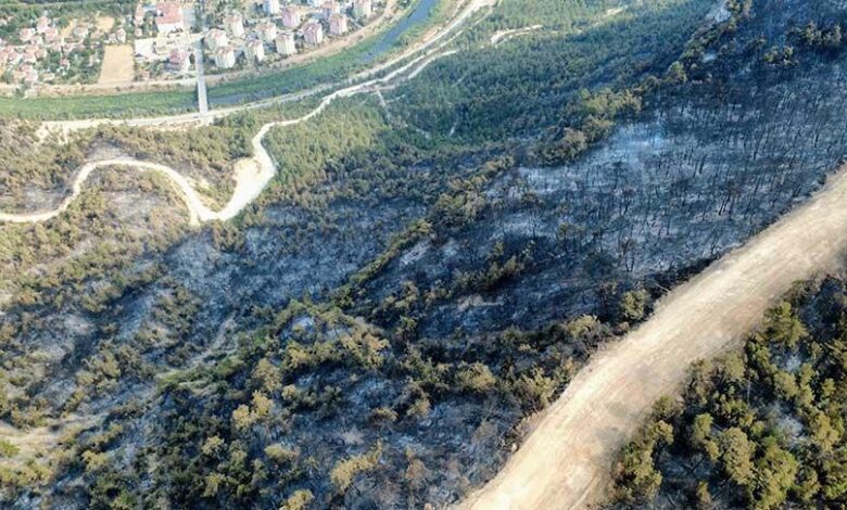 Karabük'te orman yangını! Valisi Yavuz'dan açıklama geldi 1 karabukte orman yangini valisi yavuzdan aciklama geldi 9MfDNGeU