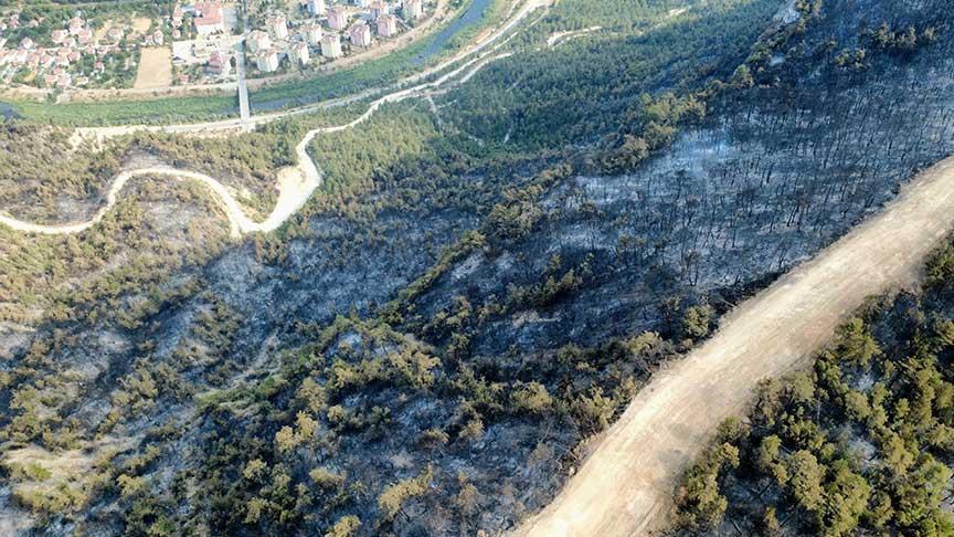Karabük’te orman yangını! Valisi Yavuz’dan açıklama geldi