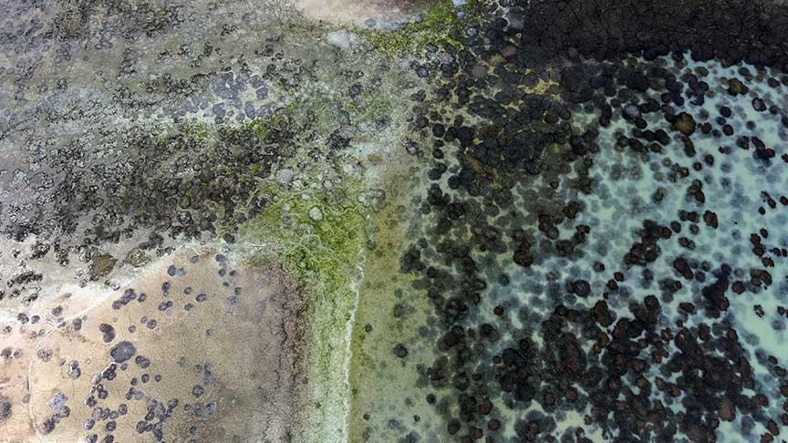 Konya için alarm! Barajlardaki su düzeyi kritik düzeyde: Maalesef 300 milimetrenin altına düştü