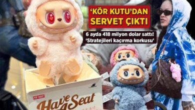 labubu dunyayi nasil ele gecirdi kor kutudan cikan servet isin icinde bir taktik var n6QFKZrh