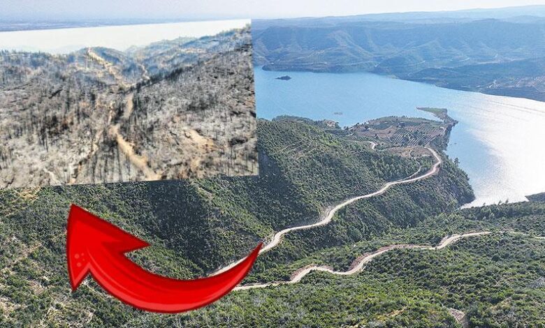 Manavgat küllerinden doğdu 1 manavgat kullerinden dogdu CnnySR1j