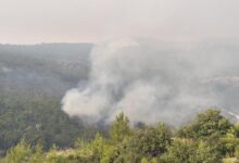 mersin 2 ilcesindeki orman yangini mudahale suruyor dXDUPyQV
