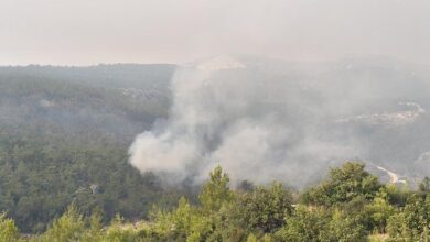 mersin 2 ilcesindeki orman yangini mudahale suruyor dXDUPyQV