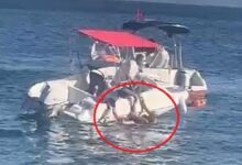 muhtarin hiz teknesi dehseti 71 yasindaki bayana carpip agir yaraladi ozgur kaldi djQEW35I