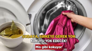 ne soda ne sirke koku bitiren yaprak taktigi camasir makinesi mise donuyor cgcCrRwk
