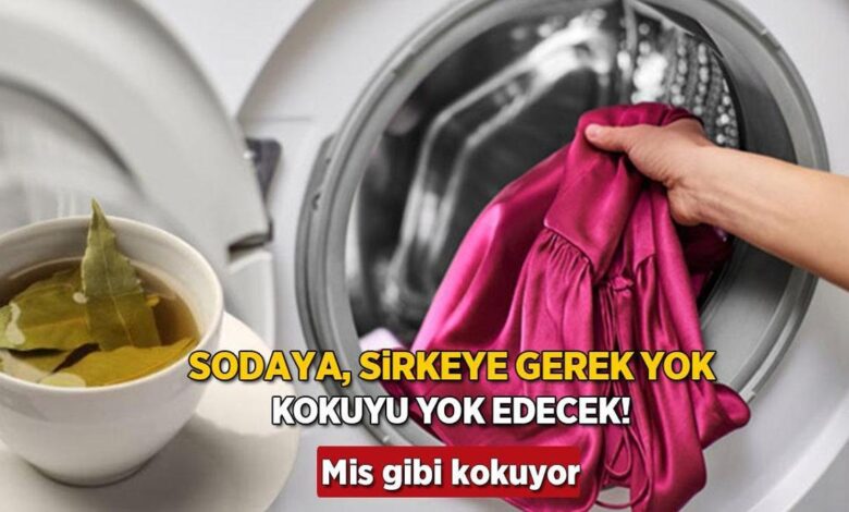 Ne soda ne sirke, koku bitiren yaprak taktiği! Çamaşır makinesi mise dönüyor 1 ne soda ne sirke koku bitiren yaprak taktigi camasir makinesi mise donuyor cgcCrRwk