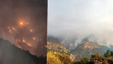 orman yangini denizliden aydina sicradi alevler mahallelere ulasti NGhrRmLM