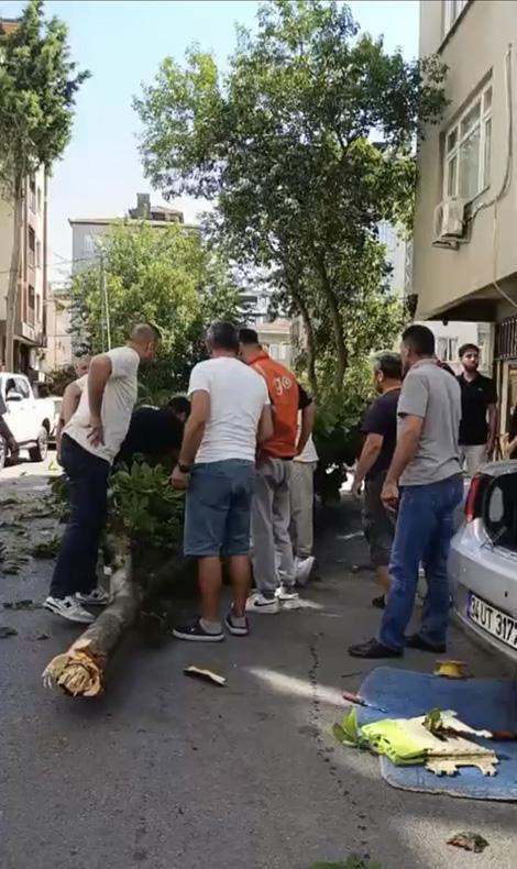 Oyuncu İbrahim Yıldız'ın üzerine ağaç devrildi! Hastaneye kaldırılan oyuncu vefat kalım savaşı veriyor 2 oyuncu ibrahim yildizin uzerine agac devrildi hastaneye kaldirilan oyuncu vefat kalim savasi veriyor 0 Ya8MEZsj