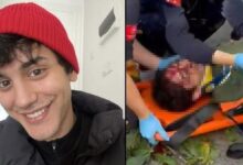 oyuncu ibrahim yildizin uzerine agac devrildi hastaneye kaldirilan oyuncu vefat kalim savasi veriyor z5isxkz9
