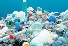 plastik artiyor canlar gidiyor s4rMED77