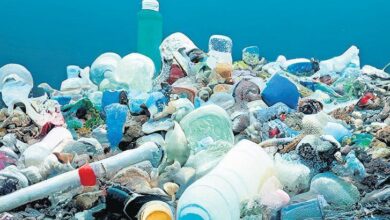 plastik artiyor canlar gidiyor s4rMED77