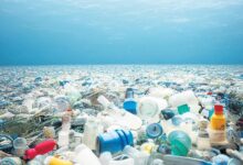 plastik ve deniz copunde yeni devir LGCCuckD