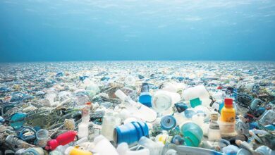 plastik ve deniz copunde yeni devir LGCCuckD