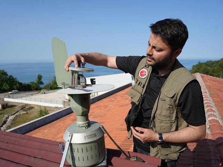 Rusya'dan gelen polen Kastamonu'ya ulaştı! 'Ağustos ve eylül aylarında etkiliyor' 3 rusyadan gelen polen kastamonuya ulasti agustos ve eylul aylarinda etkiliyor 1