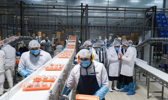 sanayi ve teknoloji bakani kacir erzincan tavuk kombinasini ziyaret etti 1 9AOLLCvW